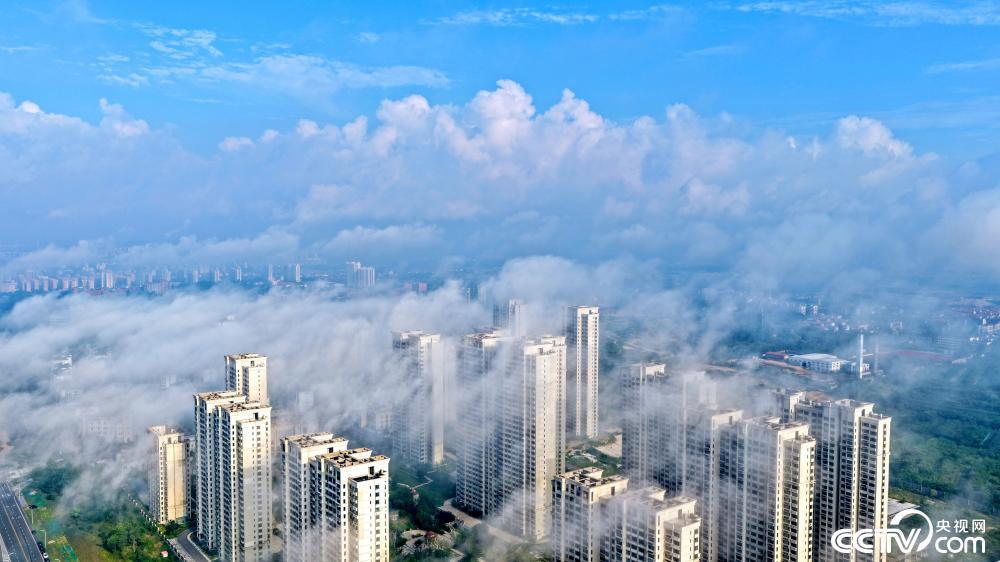 山东荣成海滨现平流雾景观