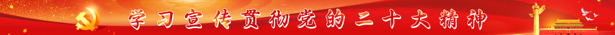 学习宣传贯彻党的二十大精神