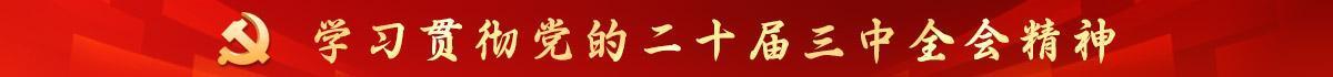 学习贯彻党的二十届三中全会精神
